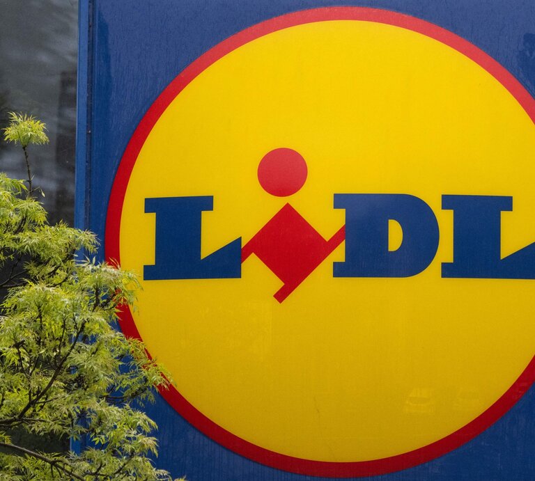 Großes Lidl-Logo auf blauem Hintergrund, links ein grüner Busch oder Baumzweig im Vordergrund. | © LOIC VENANCE/AFP via Getty Images
