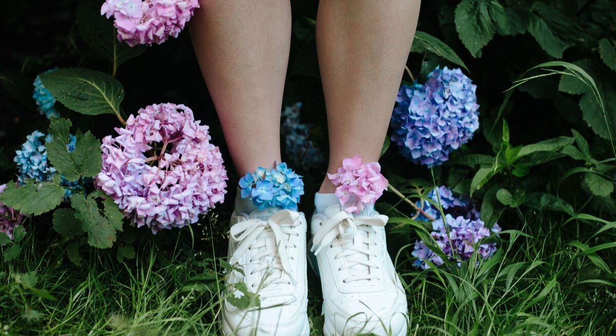 Weiße Turnschuhe mit bunten Hortensien in den Socken stehen zwischen blühenden Hortensienbüschen und Stauden im hohen Gras.