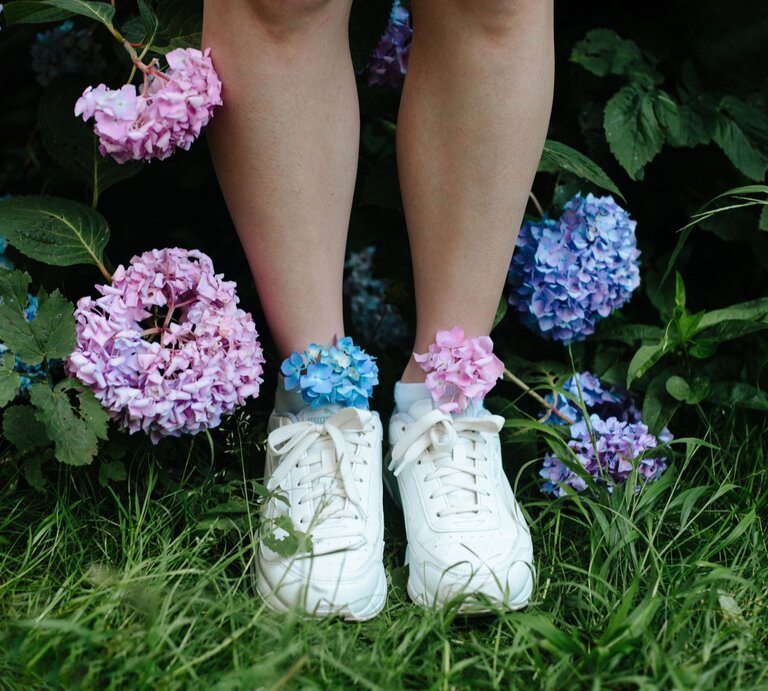 Weiße Turnschuhe mit bunten Hortensien in den Socken stehen zwischen blühenden Hortensienbüschen und Stauden im hohen Gras. | © Getty Images/ Anna Blazhuk