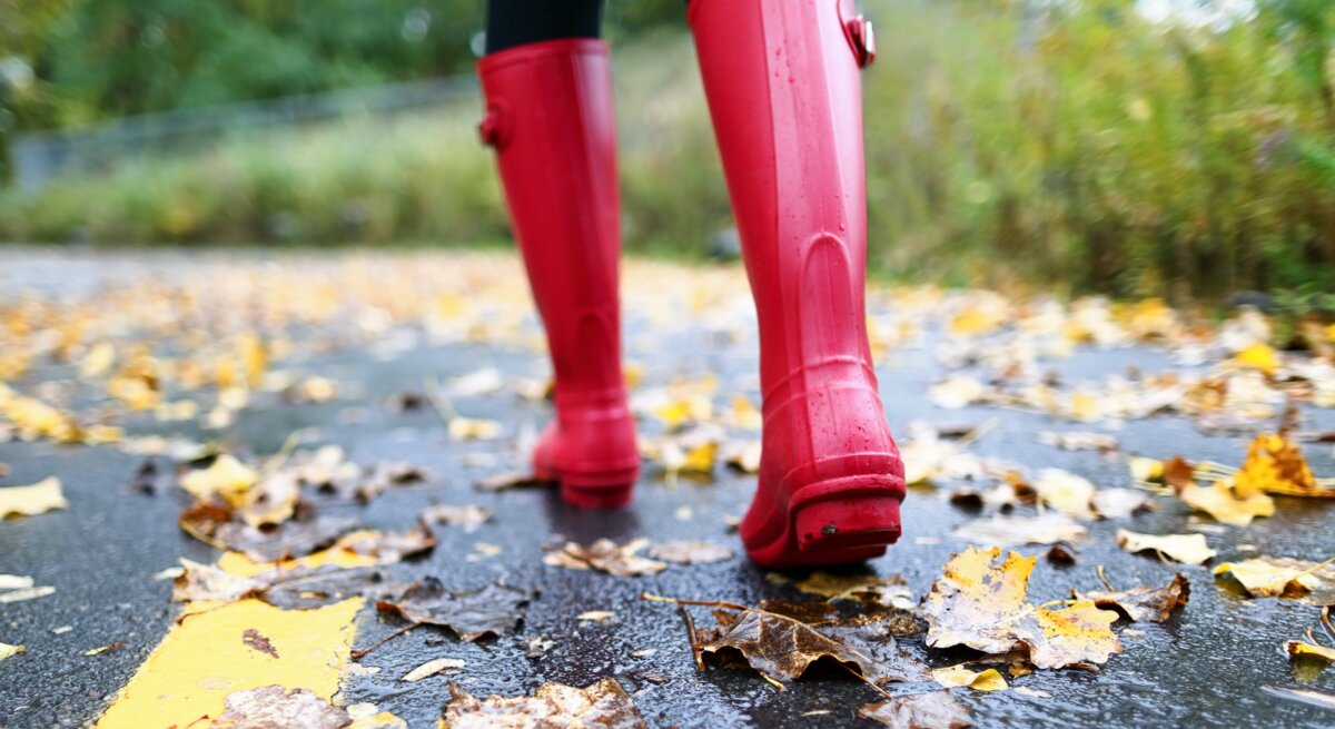 Rote Gummistiefel treten auf einen nassen Asphaltweg, bedeckt mit bunten Herbstblättern, umgeben von grüner Vegetation.