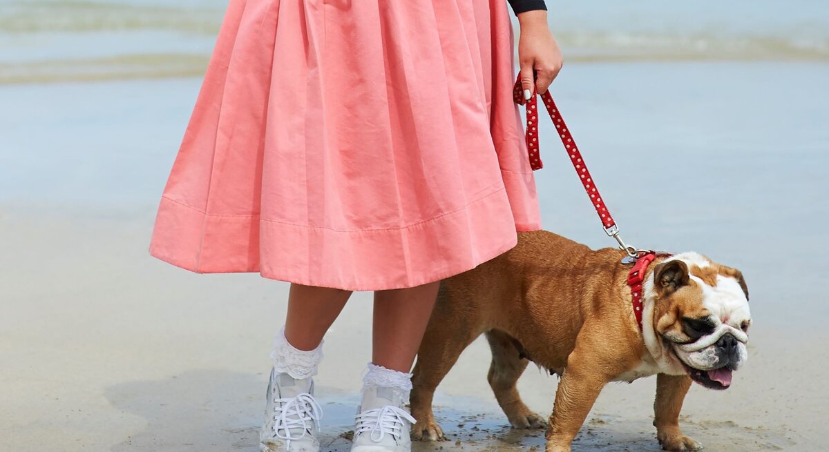 Untere Hälfte einer Frau, die an einem Strand spaziert. Sie trägt einen leuchtend rosa Rock und weiße Turnschuhe mit dazu passenden weißen Socken. An ihrer Seite geht ein Mops, der an einer roten Leine mit weißen Punkten geführt wird. 