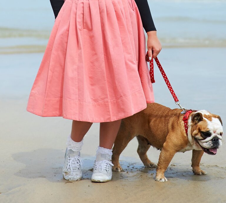 Untere Hälfte einer Frau, die an einem Strand spaziert. Sie trägt einen leuchtend rosa Rock und weiße Turnschuhe mit dazu passenden weißen Socken. An ihrer Seite geht ein Mops, der an einer roten Leine mit weißen Punkten geführt wird.  | © Getty Images /Dougal Waters
