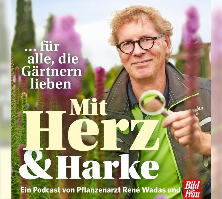Cover des Gartenpodcasts "Mit Herz & Harke", auf dem ein Mann mit rötlichen Haaren und einer Brille in einem Garten steht und eine Lupe in der Hand hält.  | © Patrice Kunte