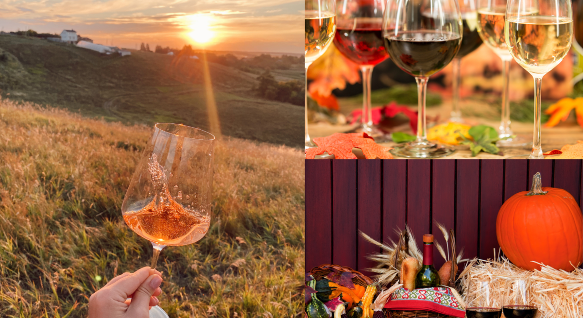 Herbstliche Weinmomente: Rosé im Sonnenuntergang, Gläser auf buntem Laub und Rotwein neben Kürbissen und Erntekorb auf Stroh.