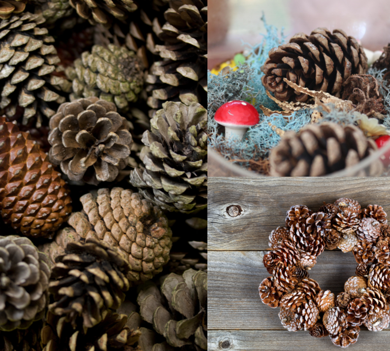 Unterschiedliche Tannenzapfen liegen dicht beieinander, dekorieren ein Glas mit Moos und Pilz sowie einen glitzernden Kranz auf Holz. | © Canva/Collage:bildderfrau.de