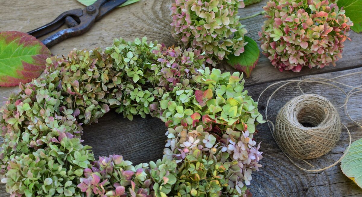 Kranz aus zart rosagrünen Hortensienblüten liegt neben Gartenschere, Juteschnur und Blütenbällen auf rustikalem Holz.