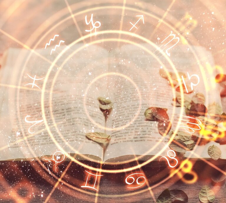 Ein altes, aufgeschlagenes Buch liegt auf einem Holztisch, umgeben von verstreuten, trockenen Blättern. Eine kleine Pflanze wächst aus den Seiten des Buches. Darüber ist ein leuchtendes astrologisches Rad mit den zwölf Tierkreiszeichen eingeblendet, das magisch und mystisch wirkt. | © Adobe Stock/ Who is Danny