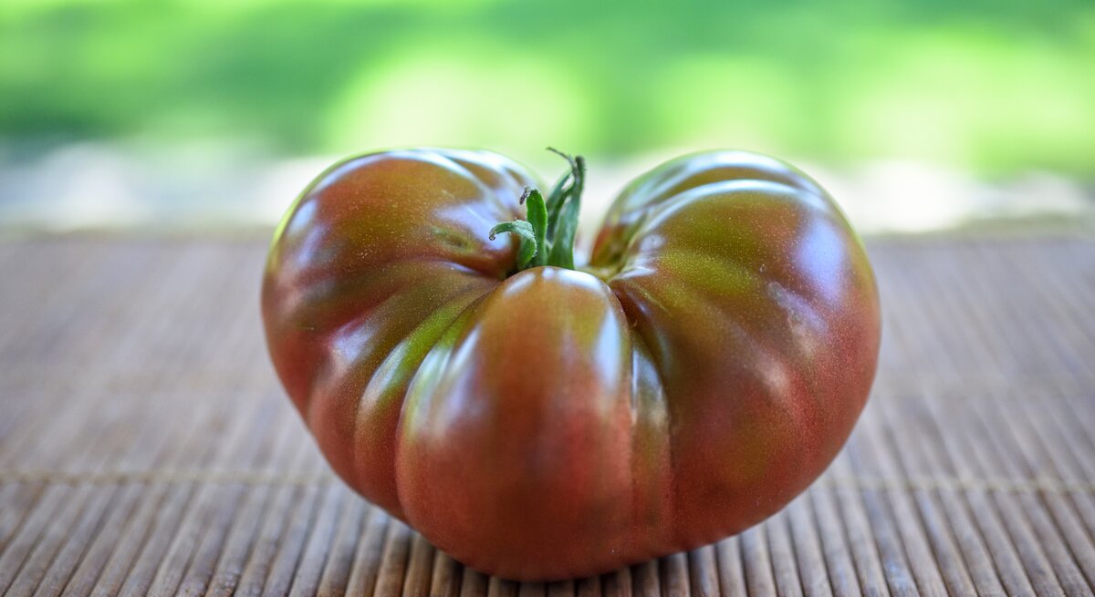 Tomate rot und grün